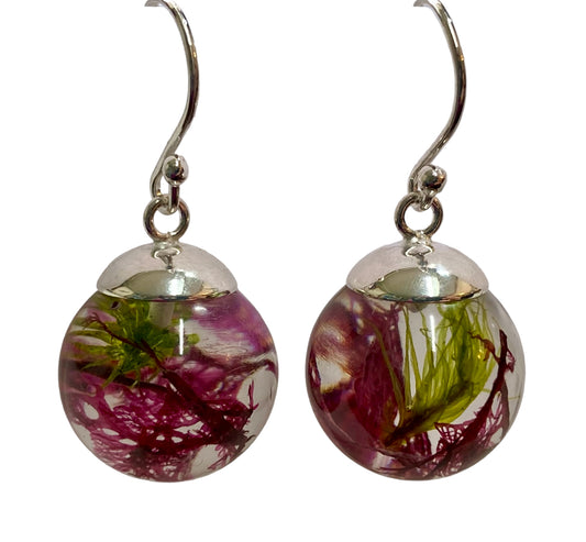 Shetland Seaweed Drop Earrings | Mixed