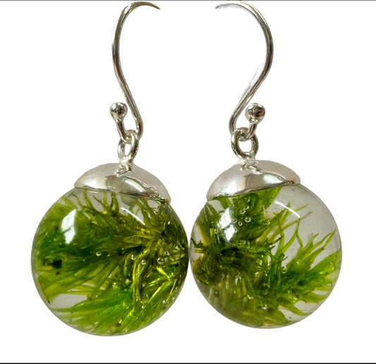 Shetland Seaweed Drop Earrings | Green