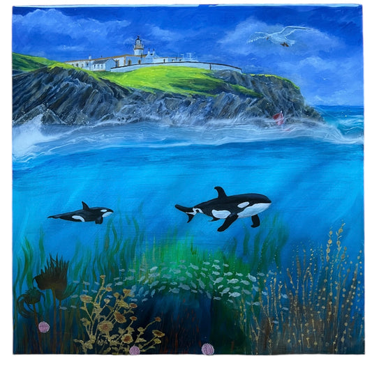 Orca at Bressay painting-Original